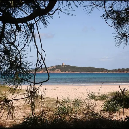 Florida, 8 Pers, Vue Montagne, 350 M A Pieds Pinarellu
