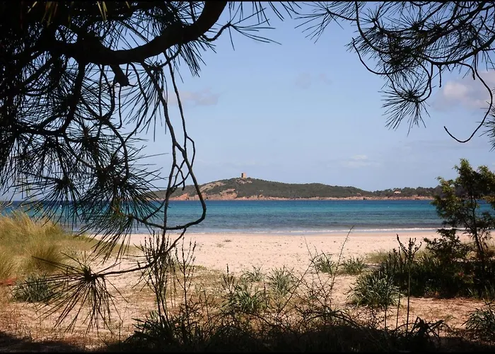 Florida, 8 Pers, Vue Montagne, 350 M A Pieds Pinarellu